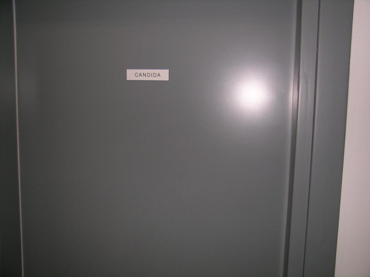 Camera Con Bagno Privato Candida La Spezia Exteriör bild